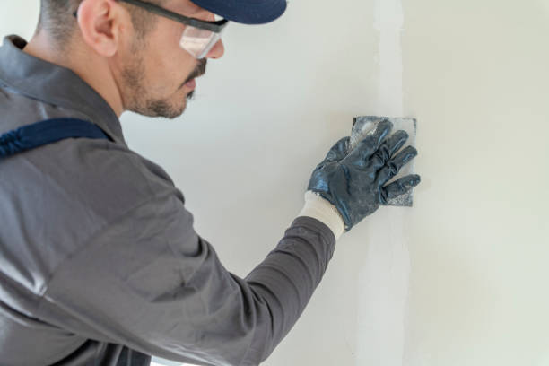 Best Air Quality Testing for Mold Spores  in Dunean, SC
