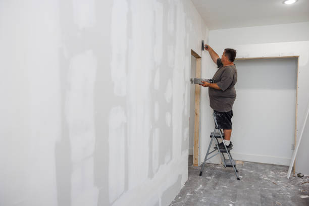 Best Mold Damage Restoration  in Dunean, SC