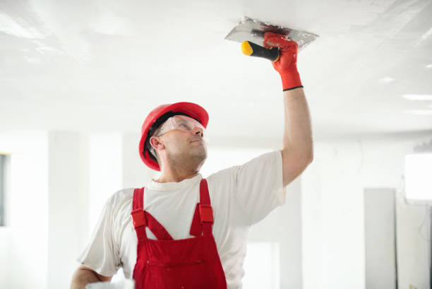  Dunean, SC Mold Removal Pros